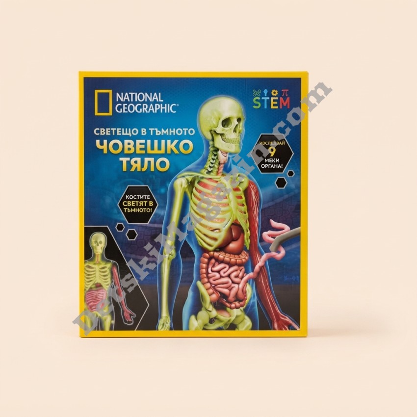 Модел на светещо човешко тяло National Geographic