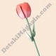 Конструктор Tulip