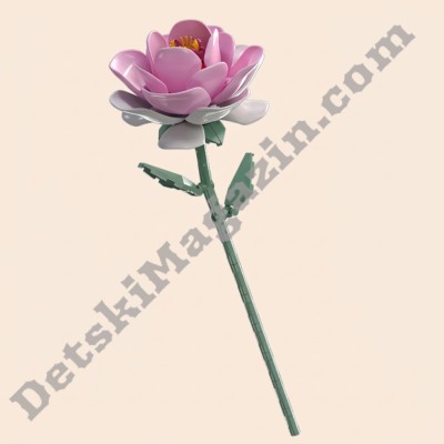 Конструктор Wild Rose