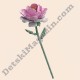 Конструктор Wild Rose